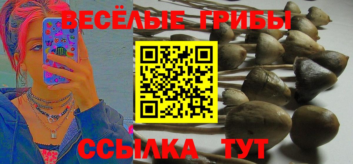 Псилоцибиновые грибы GOLDEN TEACHER  Вход с VPN  Шебекино 