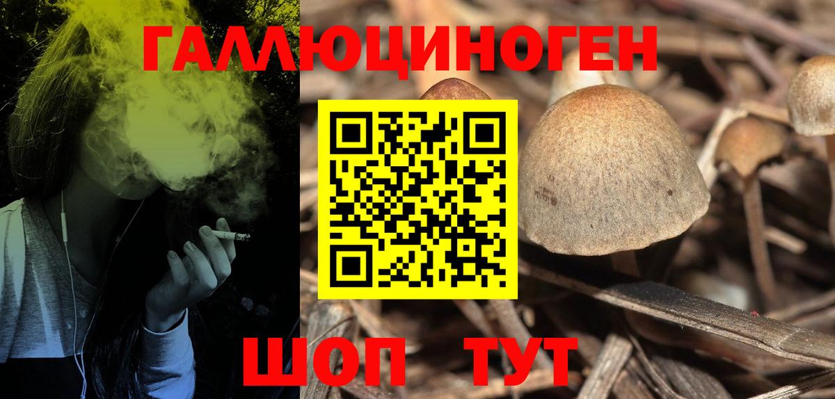 Галлюциногенные грибы ЛСД Шебекино